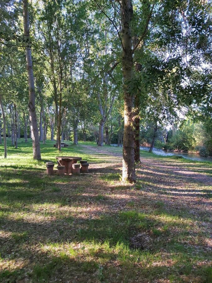 Bonita Cabana De Los Arboles En La Rioja , Durmiendo Entre Arboles Anguciana Ngoại thất bức ảnh
