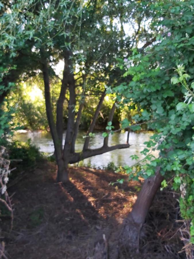 Bonita Cabana De Los Arboles En La Rioja , Durmiendo Entre Arboles Anguciana Ngoại thất bức ảnh